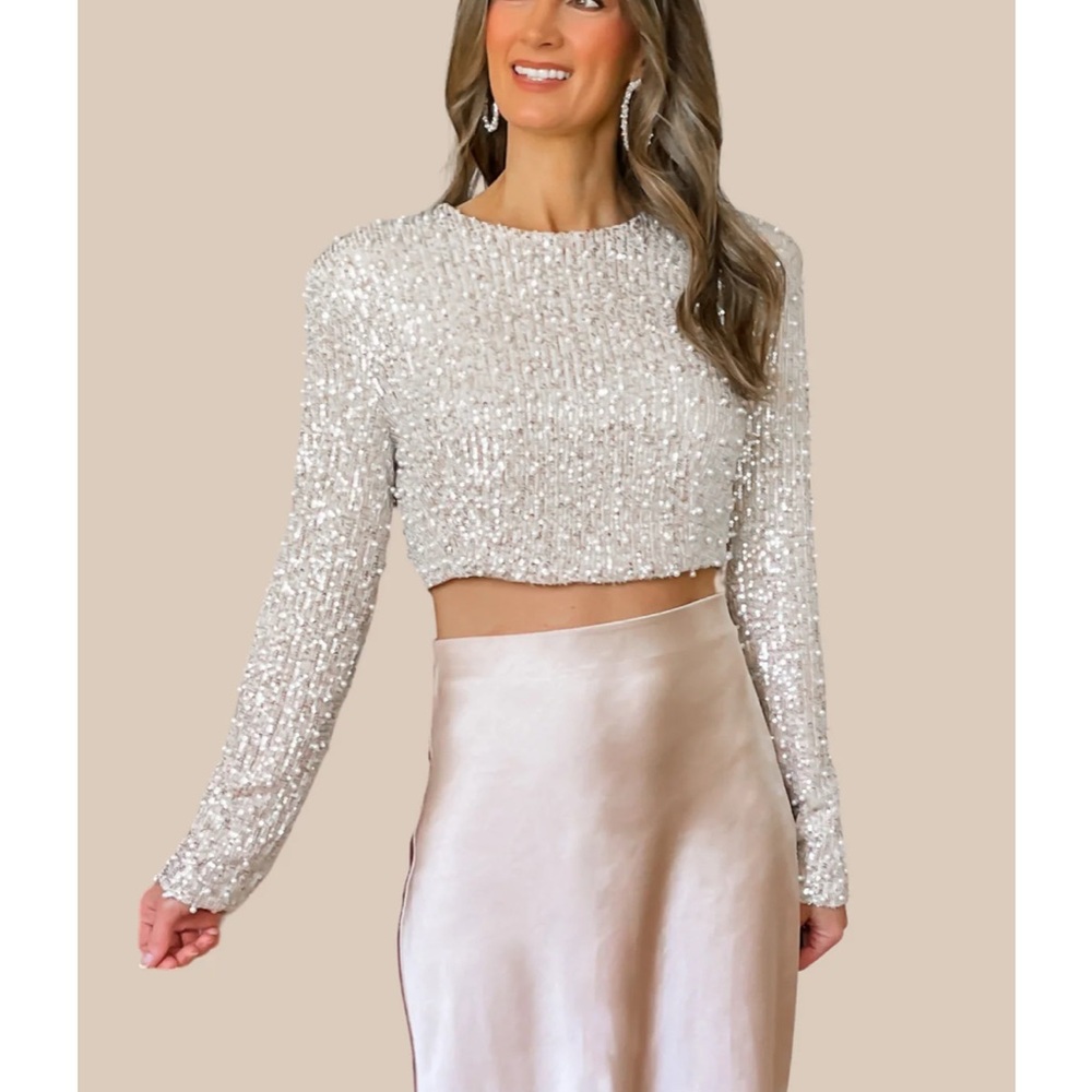 Mable Pearled Sequined Sequin Crop Top - Silver NWOT size Medium